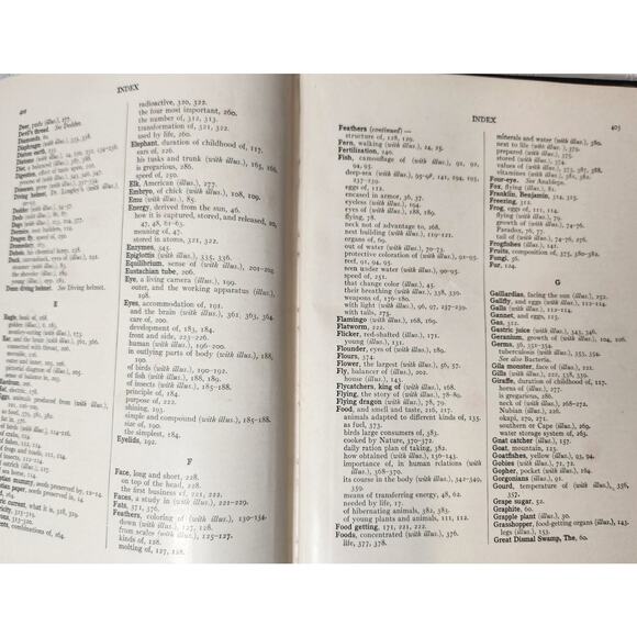 Our Wonder World Set - Handbook - The Literature Sup. Vol.‎ - The Wonder of Life - Picture 16 of 16